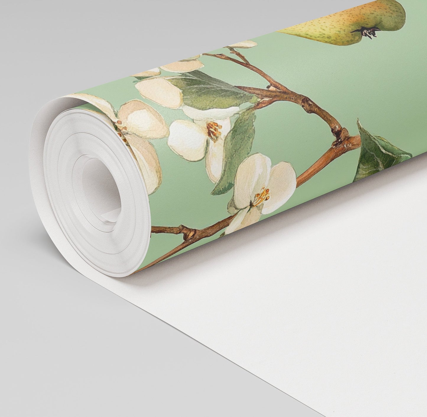 Pear Blossom Wallpaper - Painted Paper