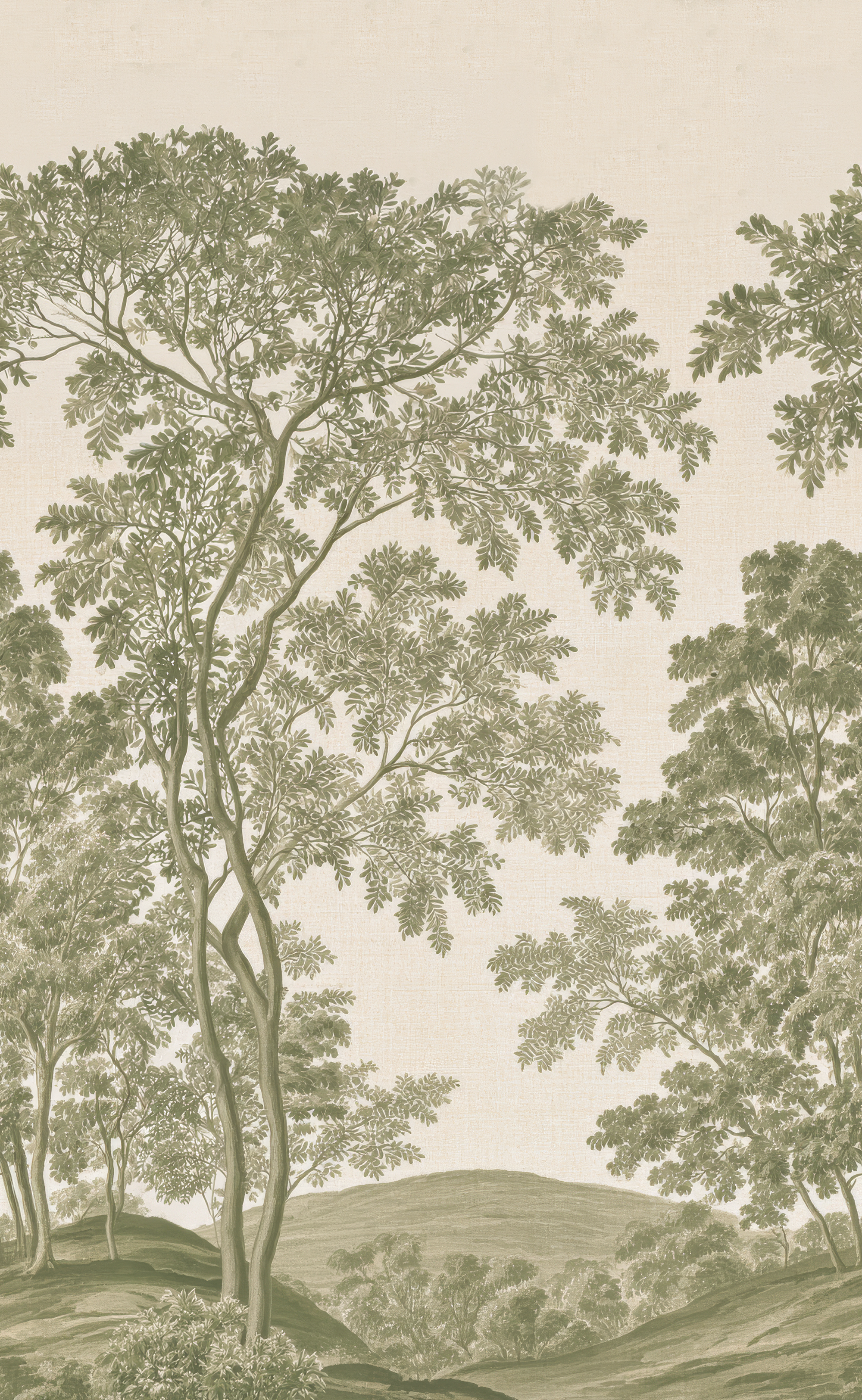 Wooded Forest - Wall Mural