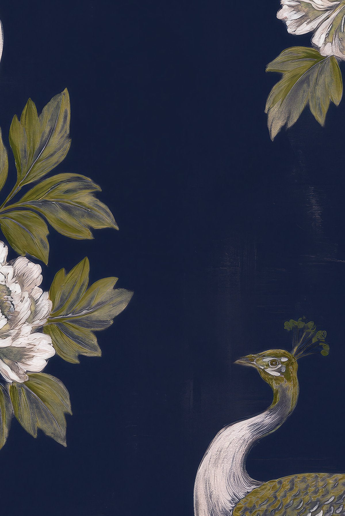 Peacock Elegance - Wall Mural