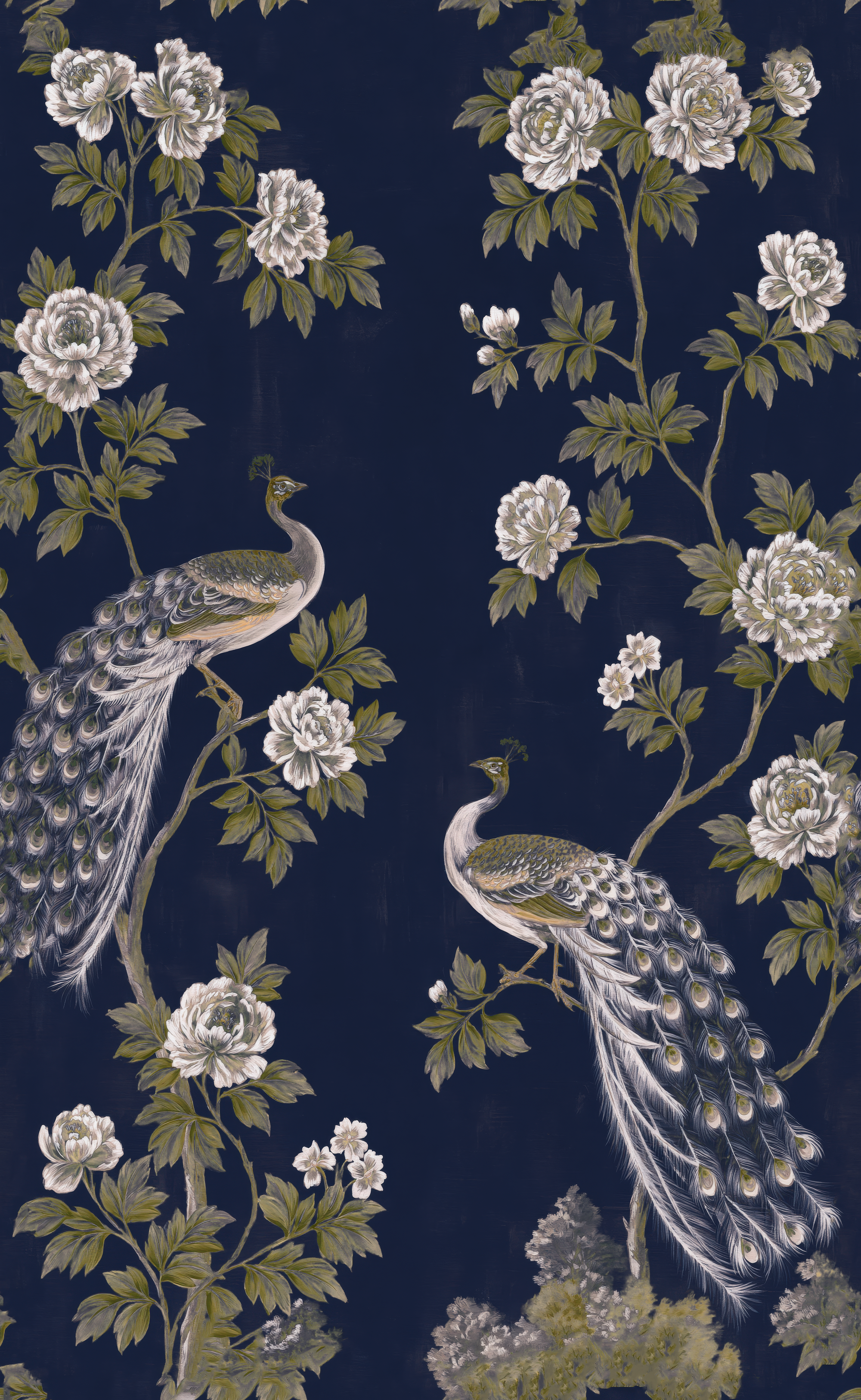 Peacock Elegance - Wall Mural