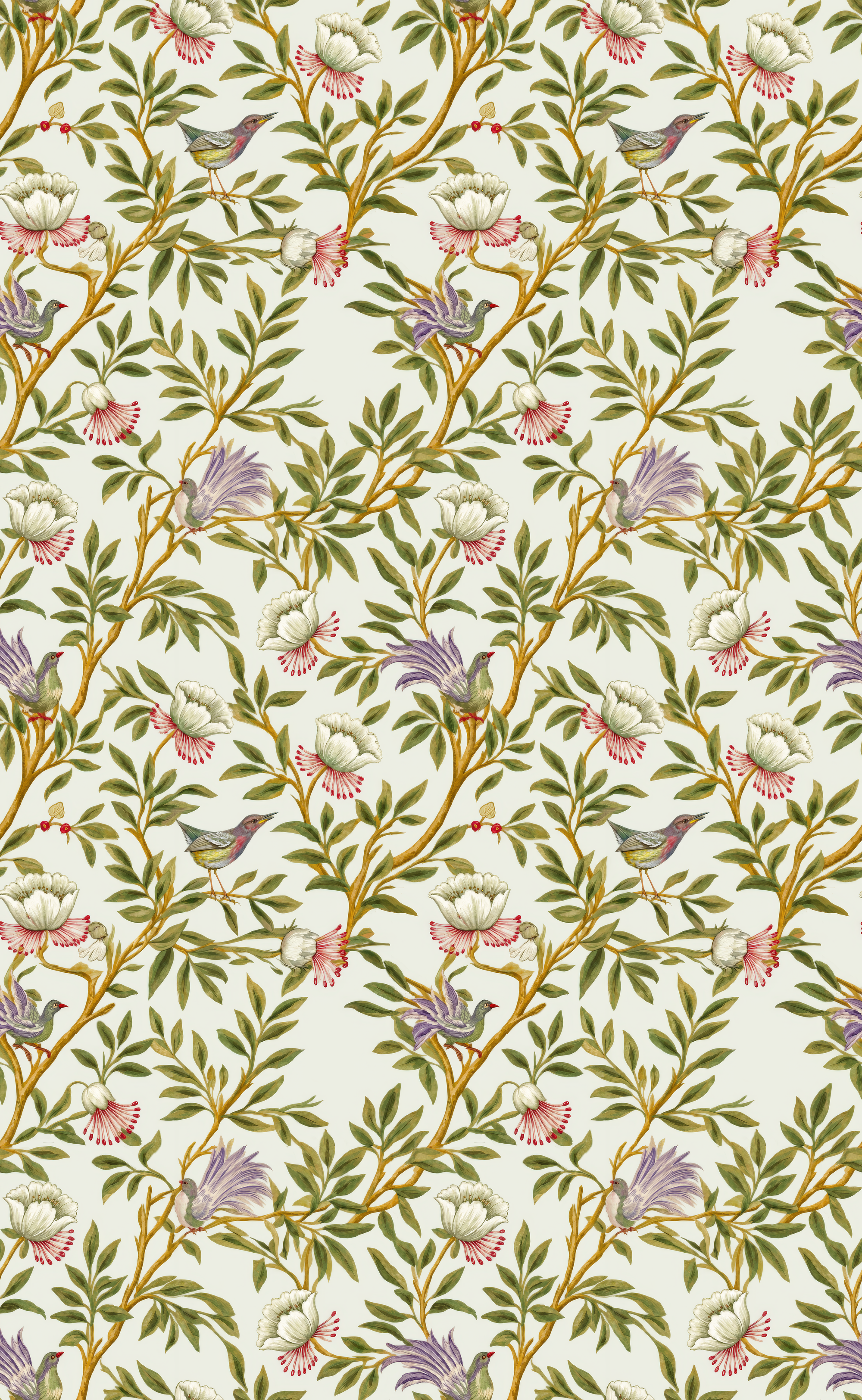 Louise & Frills - Wall Mural