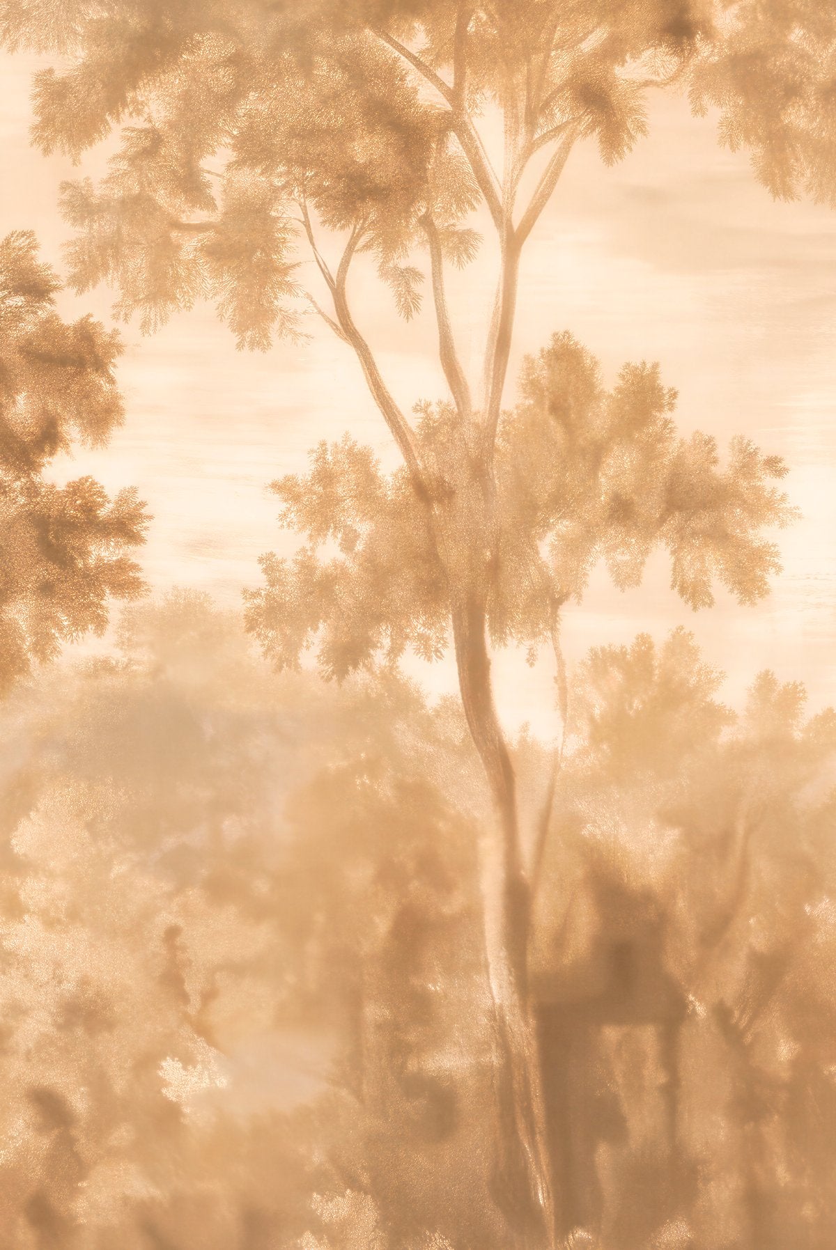 Darkwoods - Wall Mural