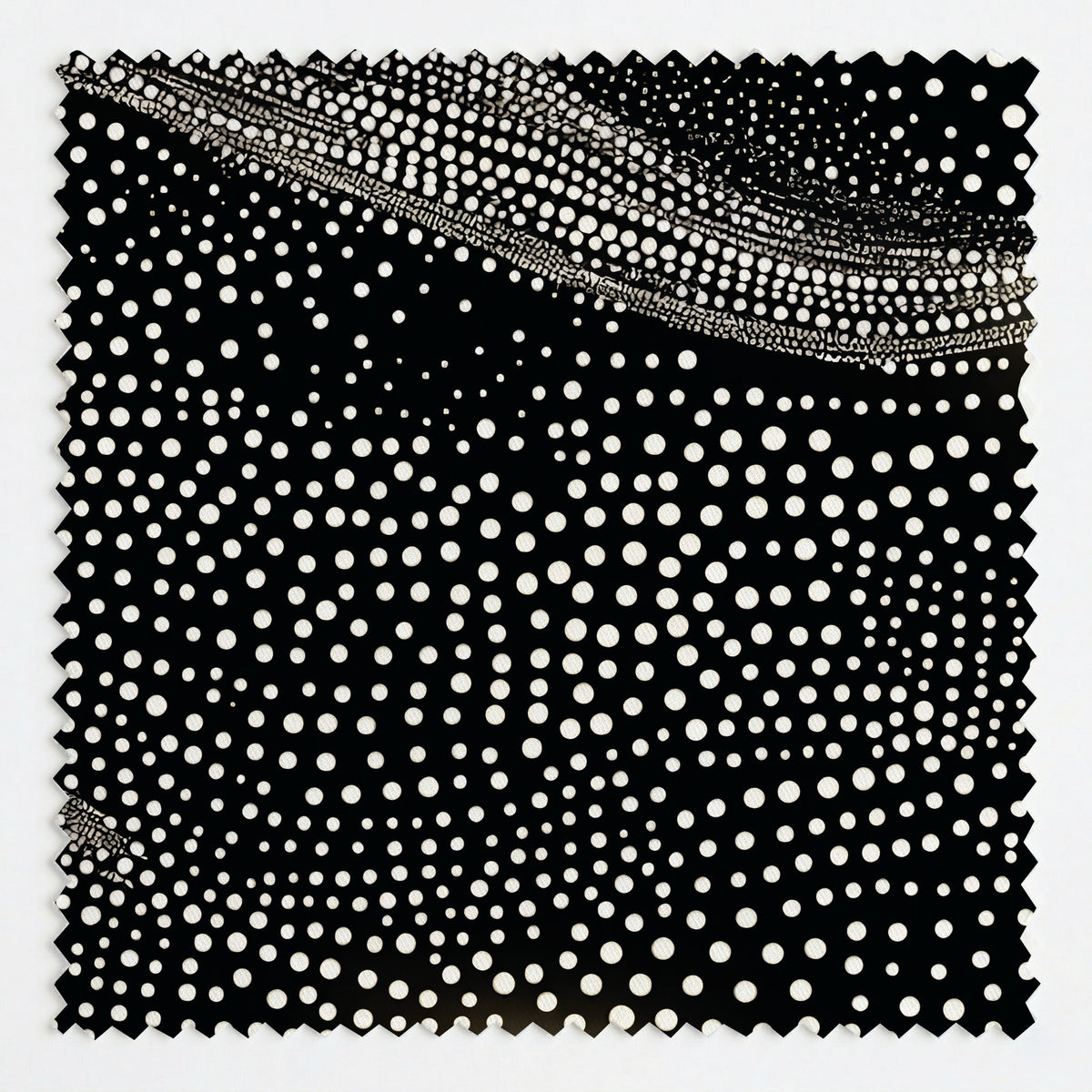 PP557591 fabric