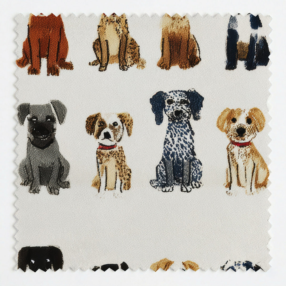PP679016 fabric