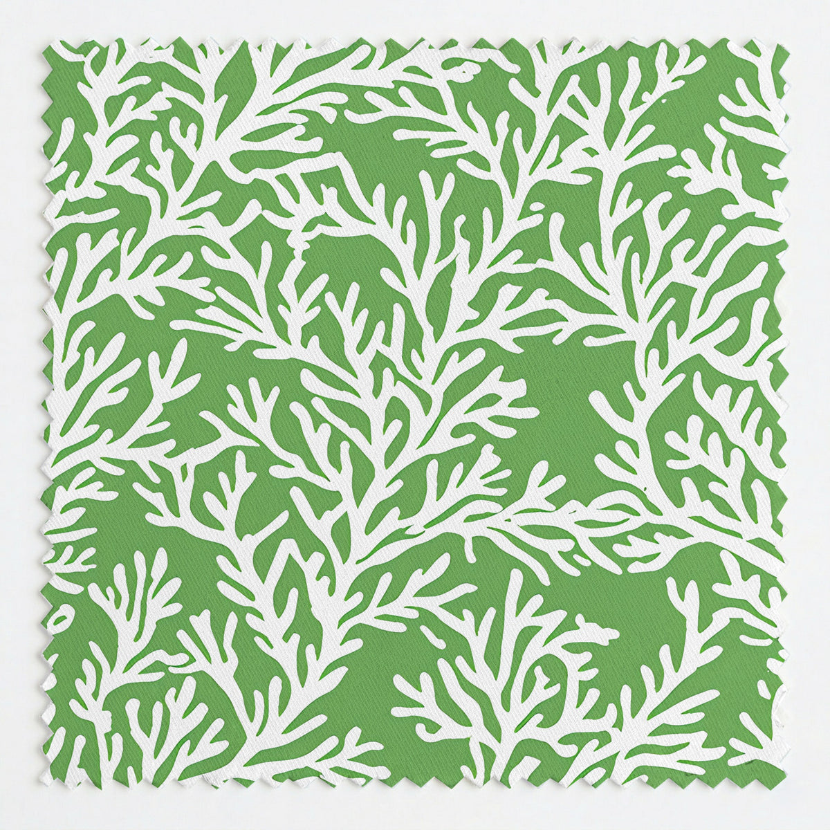PP995127 fabric