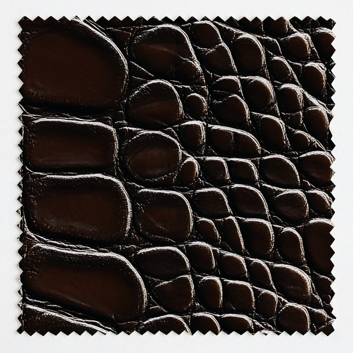 Chocolate Croc - Fabric - Painted Paper