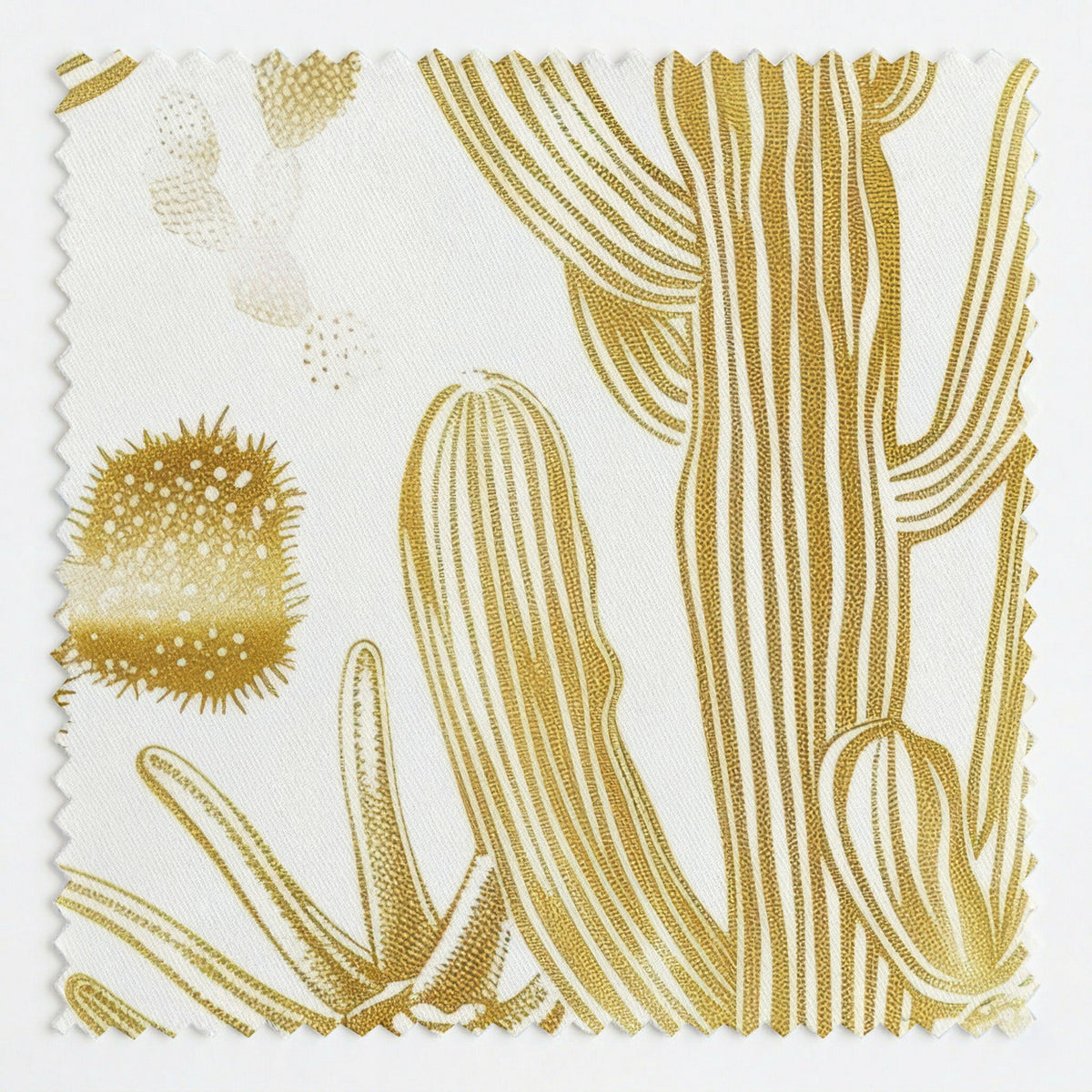 Clara - Fabric - Painted Paper