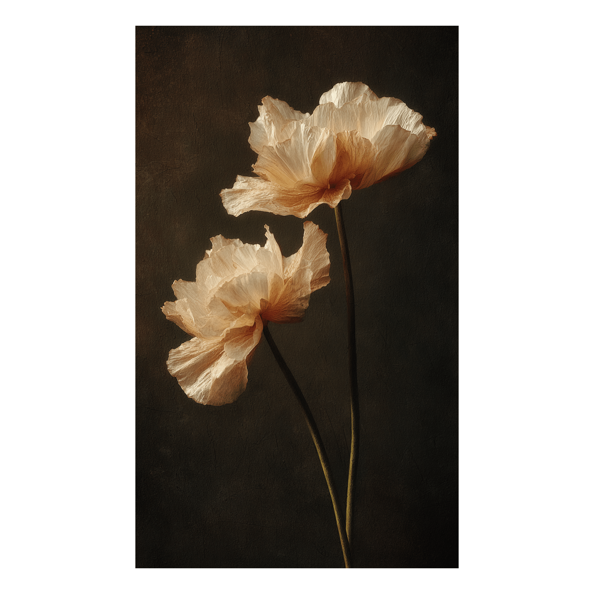 Delicate Poppies - Tapestry - Painted Paper