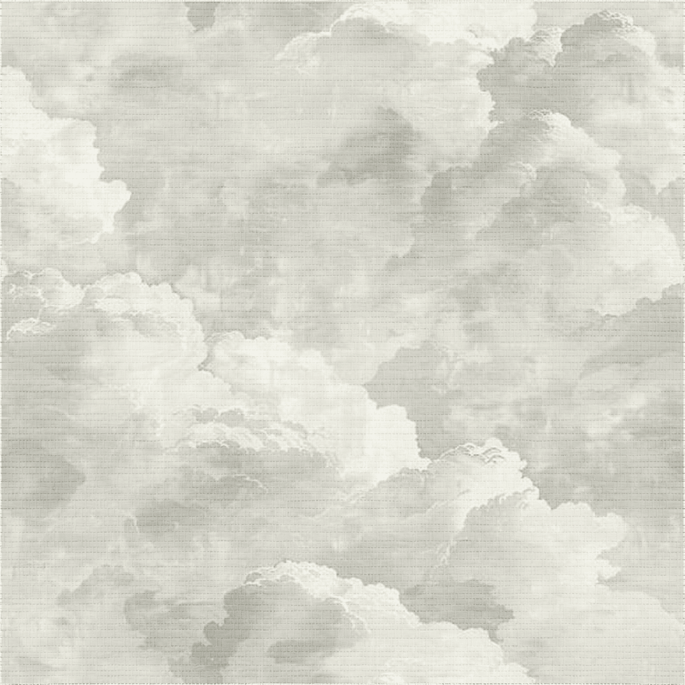 Dior Clouds Faux Grasscloth Wallpaper - Painted Paper