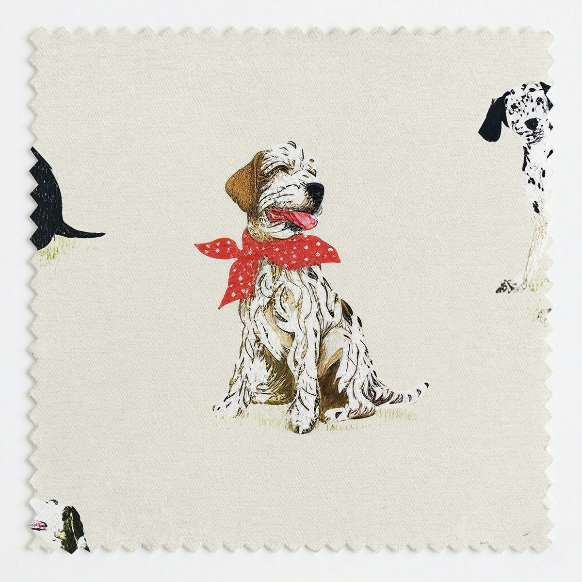 Fetch & Leisure - Fabric - Painted Paper