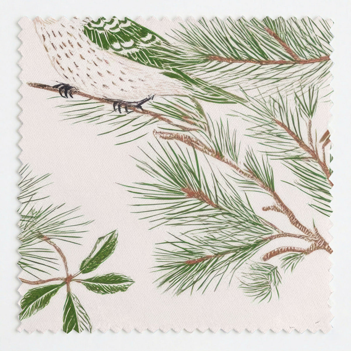 Fir & Finch - Fabric - Painted Paper