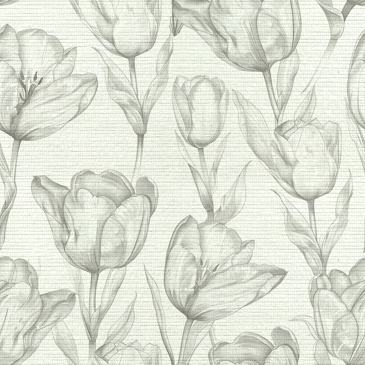 Katelynn Faux Grasscloth Wallpaper - Painted Paper