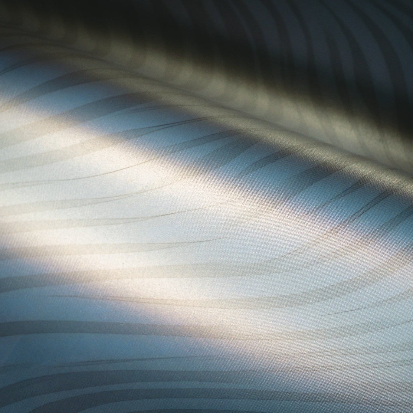 Marguerite Wallpaper - Painted Paper