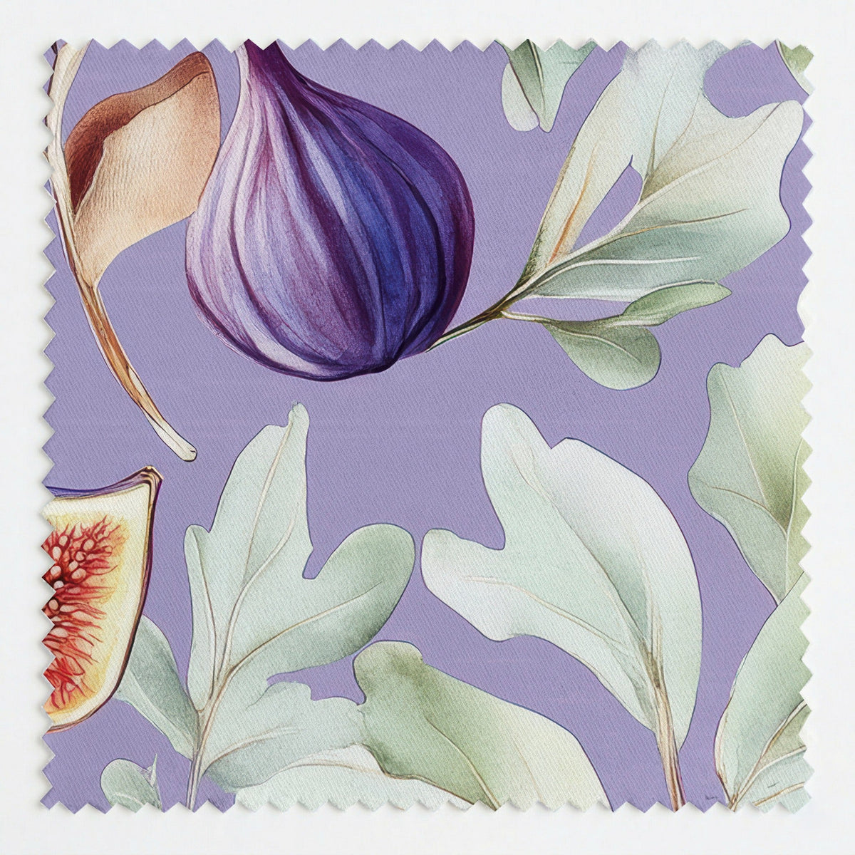 Morning Fig - Fabric - Painted Paper