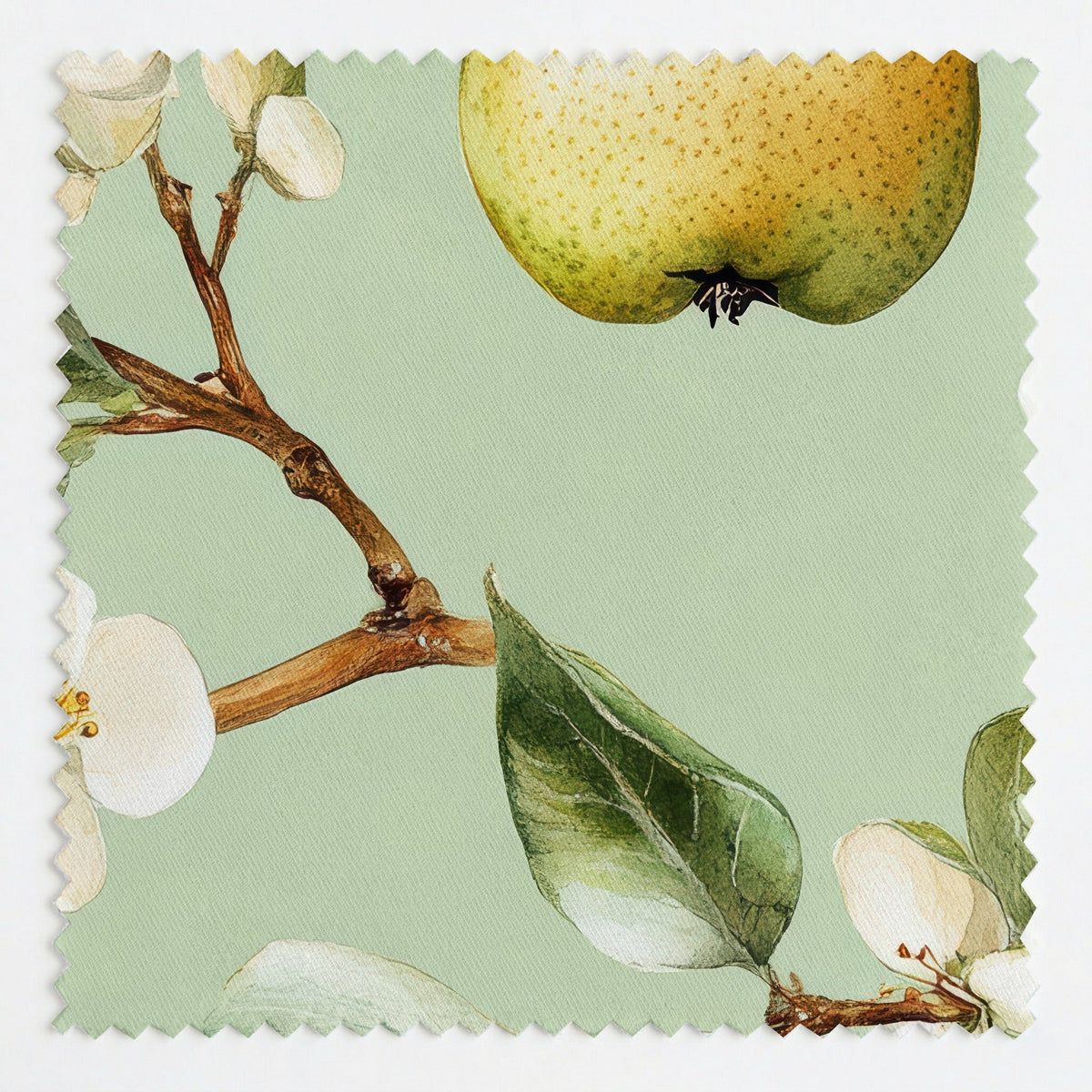 Pear Blossom - Fabric - Painted Paper
