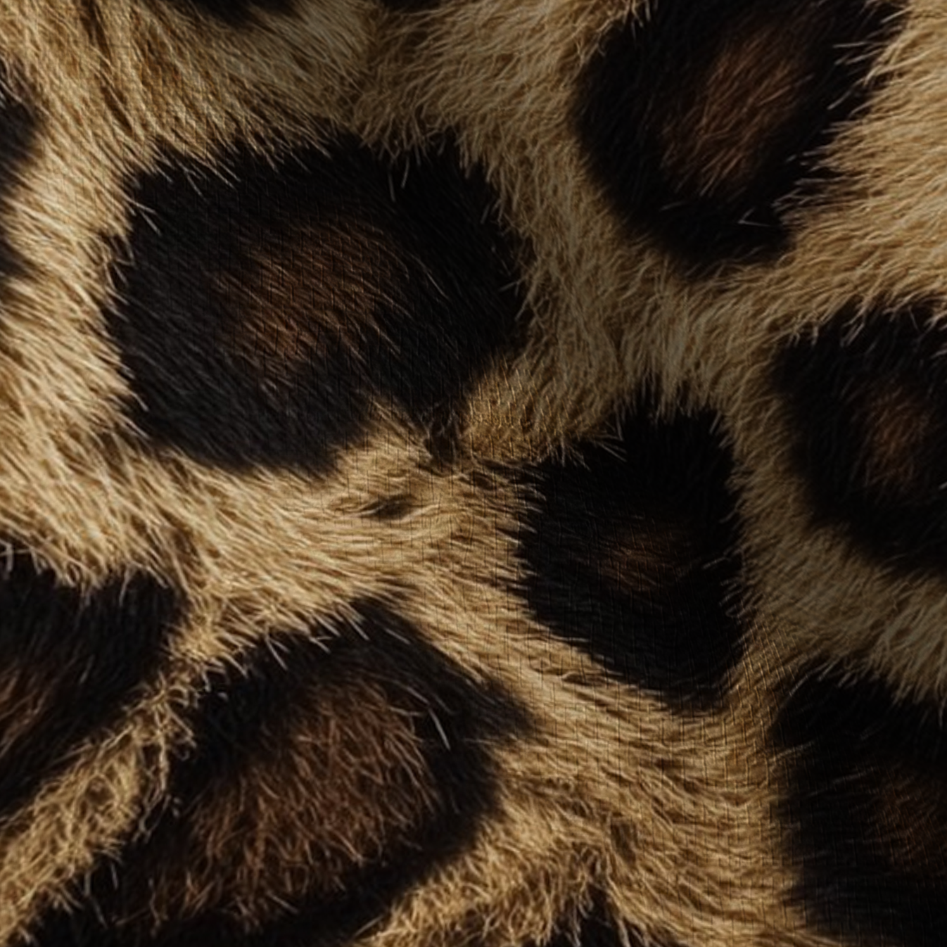 Presley Faux Grasscloth Wallpaper
