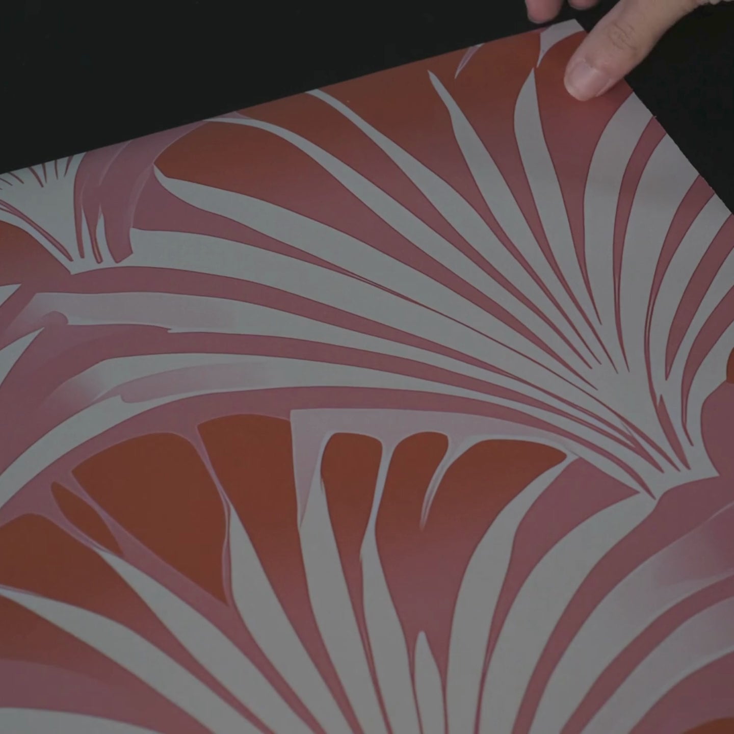 Load video: Sunrise Canopy