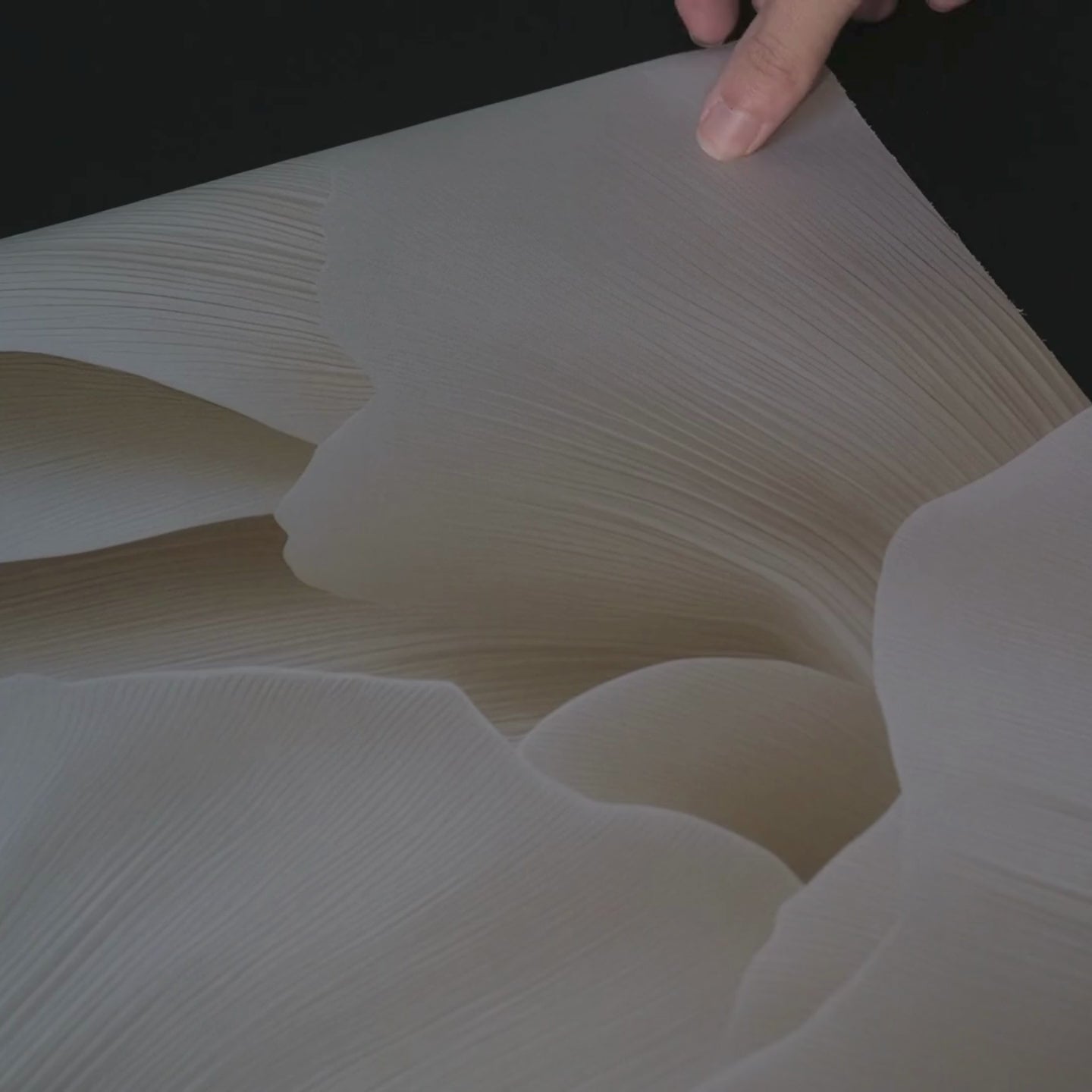 Load video: Floral Embrace Wallpaper