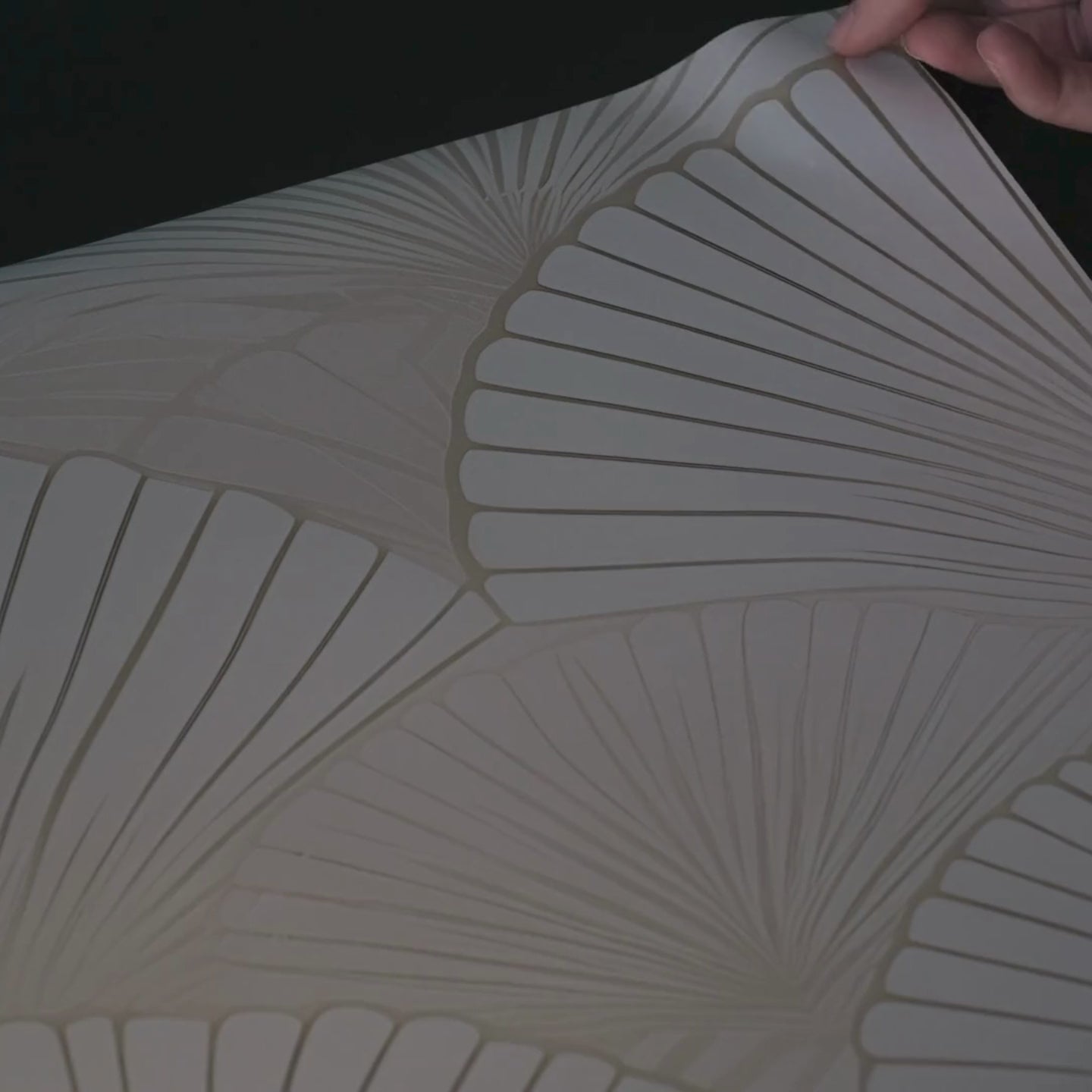 Load video: Solstice Wallpaper