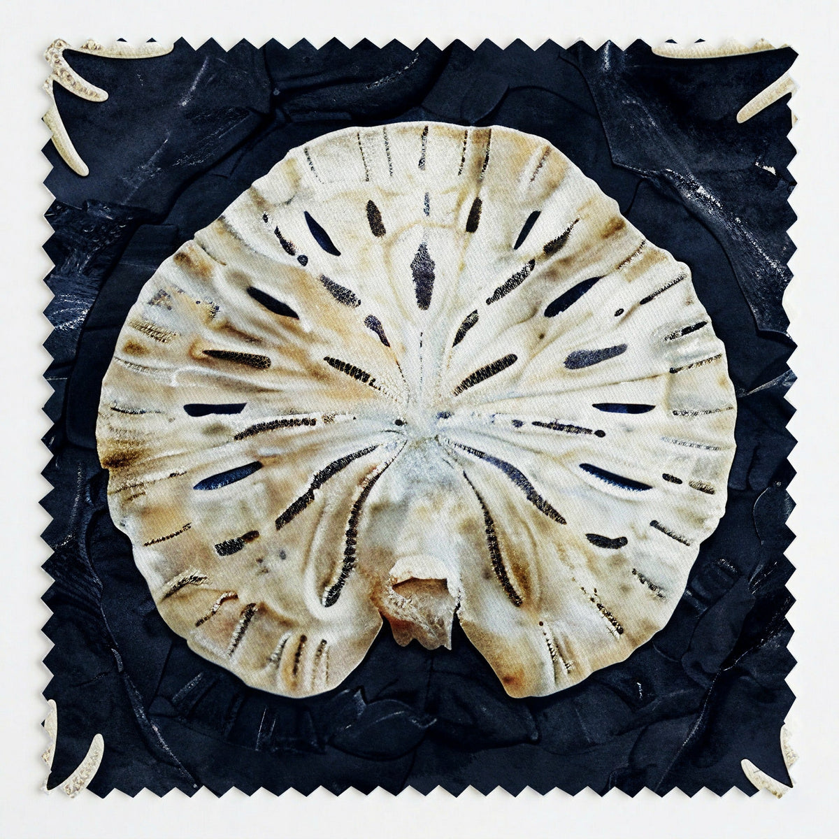 Urchin Medallion - Fabric - Painted Paper