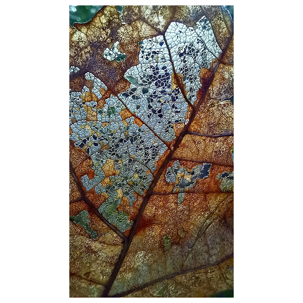 Weathered Veins - Tapestry - Painted Paper
