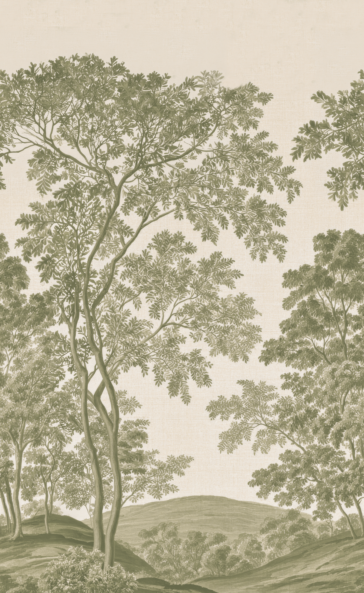 Wooded Forest - Wall Mural - Painted Paper